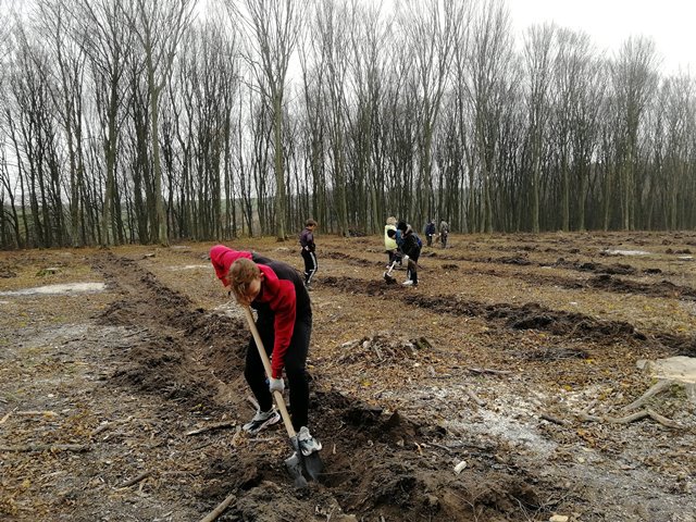 Keep calm & Love forests